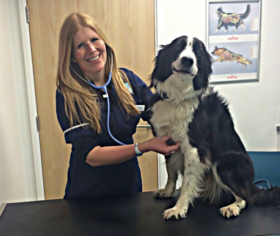 Jen White, Clinical Director The Vet Morden with a patient