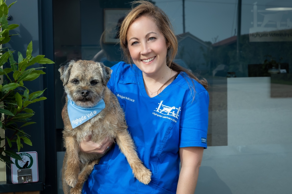 Highgate Veterinary Clinic's Dr Bridget Adcock
