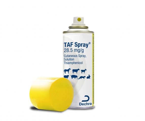 The new 360-degree TAF spray from Dechra Veterinary Products