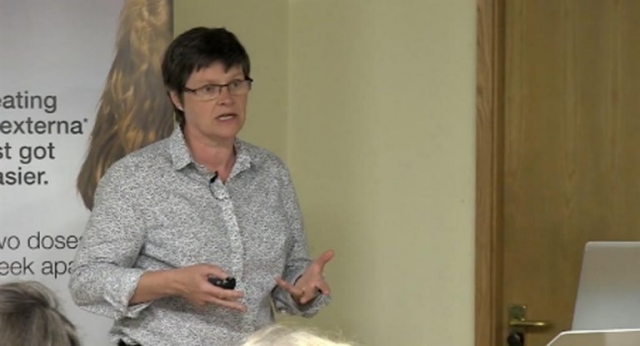 Sue Paterson gives vets advice on how to improve treatment outcomes