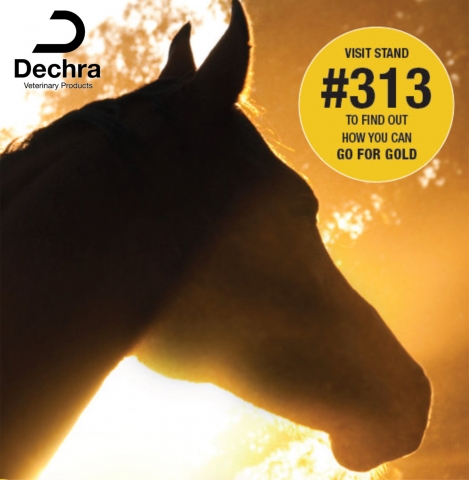 Go for Gold at the British Equine Veterinary Association Congress 