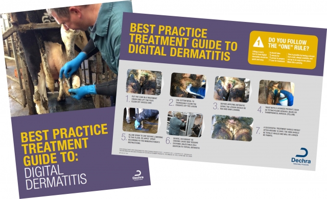The best practice treatment guide to digital dermatitis
