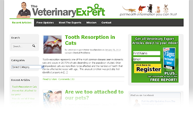 The Veterinary Expert homepage screenshot