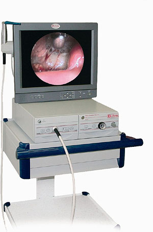 1009HOR-MED Dr Fritz endoscope