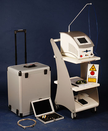 Versatile Diode Laser for multiple veterinary applications
