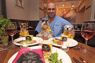 Marc Abraham sitting at a restaurant table with his canine guests