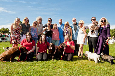 Group photo! Kerry Ellis, Bex (Pup Aid), Georgina (Pup Aid), Brian May (Queen), Milton (Pup Aid), Leigh Catherine (Pup Aid), Joanna Page (Gavin & Stacey), Marc Abraham, Meg Mathews (Patron), Peter Egan (actor), Stuart (Pup Aid), Debbie (TOWIE), Jade, Linzi and niece in red (Be Puppy Farm Aware) with rescued ex puppy farm breeding bitches
