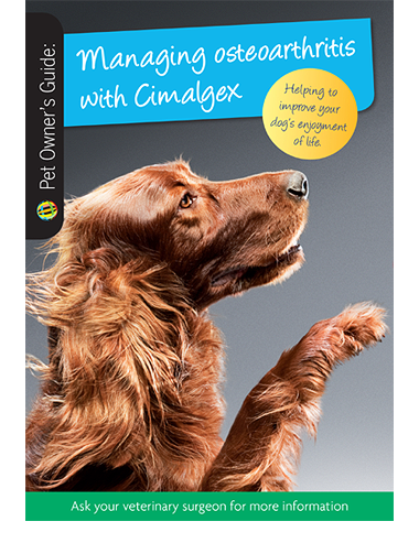 Cimalgex-Client-Leaflet