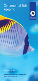 Ornamental fish keeping leaflet image