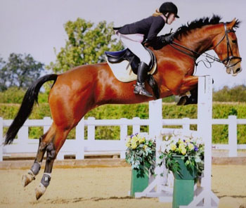 Alexandra Ashley and Springalong Bracken