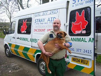 Photo of animal ambulance and driver holding stray dog