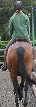 Asymmetric saddle