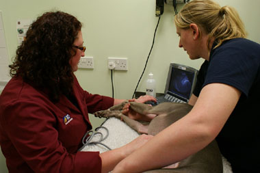 BCF Training team - Kimberly and Kat