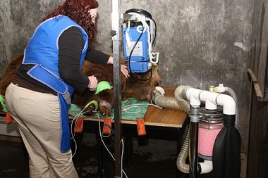 BCF help out Camperdown Wildlife Park - June 12