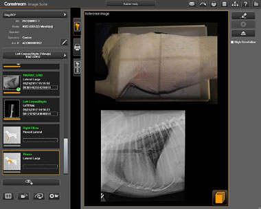 Screenshot of the software interface