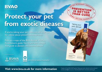 BVA pet travel poster