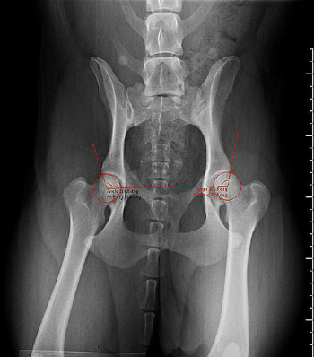 Example of scan using system