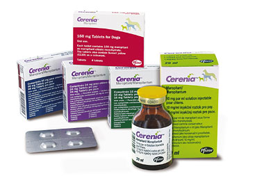 Cerenia packshot