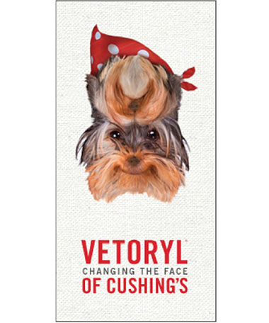 Changing the face of Cushings poster