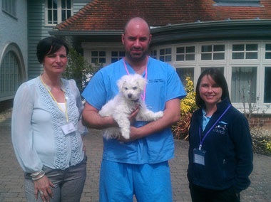 Pic: (from L to R) Caroline Roberts-Quigley (Chestnut Tree House Community Fundraiser), Marc Abraham (Grove Lodge Vets) with little Toto the puppy, and Abigail Corcoran (Grove Lodge Vets Client Services Co-ordinator)