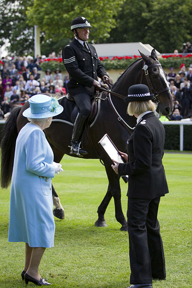 Clyde at Ascot