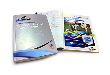 Graphic of the Compendium 2013