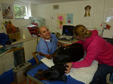 Craig Devine with his Vivid-q 1