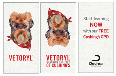 Cushing's Challenge CPD poster