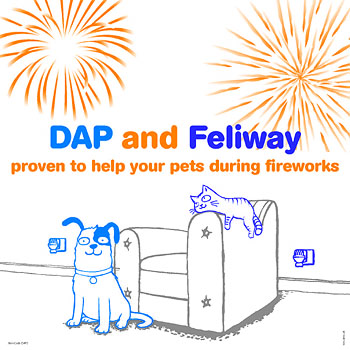 Cartoon of cat and dog looking happy as fireworks explode all around them