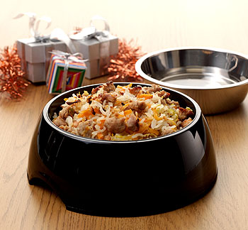 Photo of dog bowl with dinner