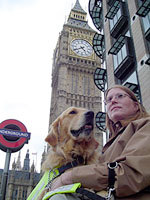 IAADP - Wendy Morrell