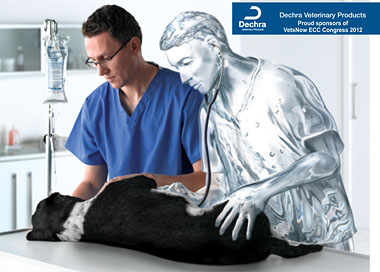 Dechra Veterinary Products is sponsoring the VetsNow ECC Congress