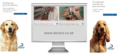 Dechra client support material