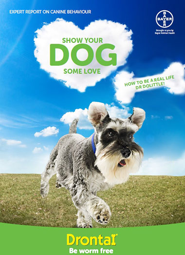 Drontal report cover