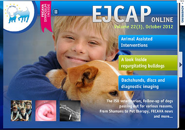 Screenshot of Oct 2012 issue