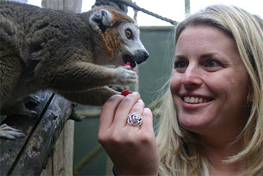 Emma McClarkin feeding a lemur