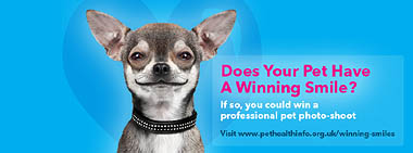 Facebook Cover Winning Smiles image