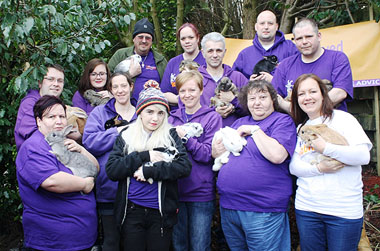 Fairly Beloved Rabbits