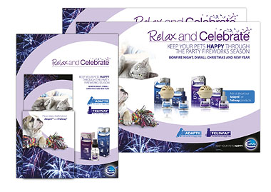 Fireworks marketing materials