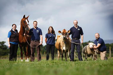 Photo of the Forth Valley team