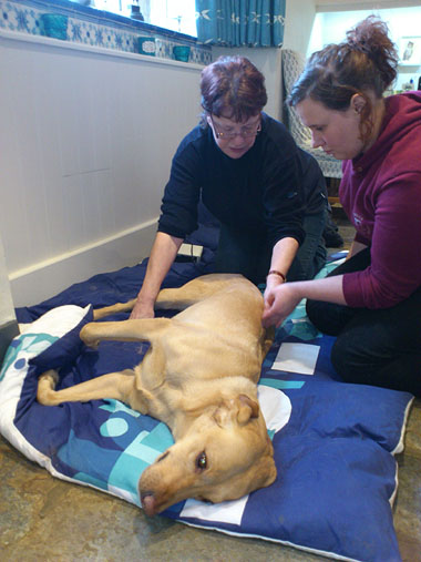 Gail (left) giving practical instruction