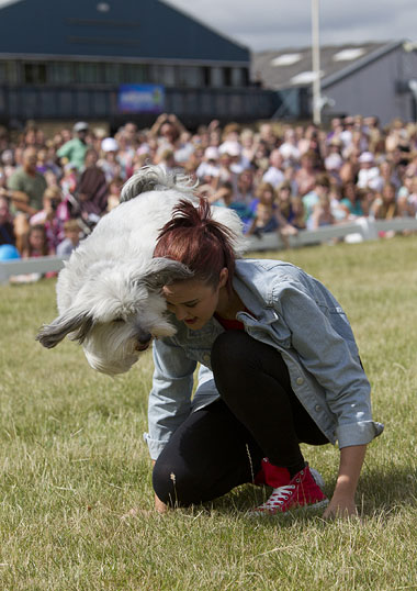 Ashleigh and Pudsey performing
