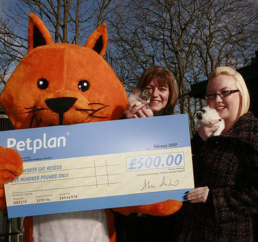 Haworth Cat Resue Campaign Manager Corrine Morre & Jemma Foran, Business Development at Petplan