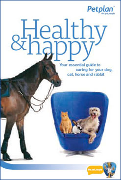 Healthy Pets Guide Image