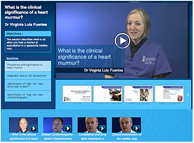 Heart murmur module screenshot