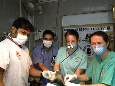 Rachel and other vets at the operating table