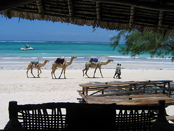 VRCC Supports Kenyan CPD Initiative