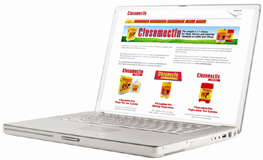 Laptop showing website