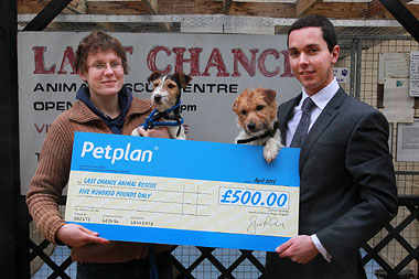 Last Chance Animal Rescue