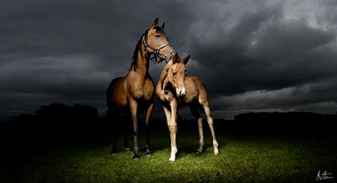 Minnie and Jubilee Matthew Seed